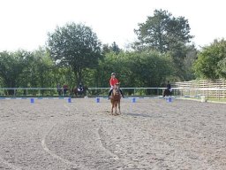 img-2850-053-865